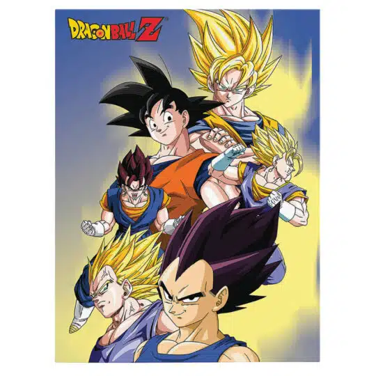 Tablou poster Dragon Ball anime 5288 front