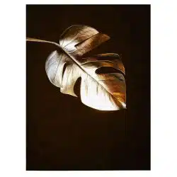 Frunza Aurie Monstera Tablou