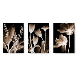 Set 3 tablouri flori variate multicanvas 3011