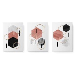 Set 3 tablouri forme geometrice hexagoane 2964
