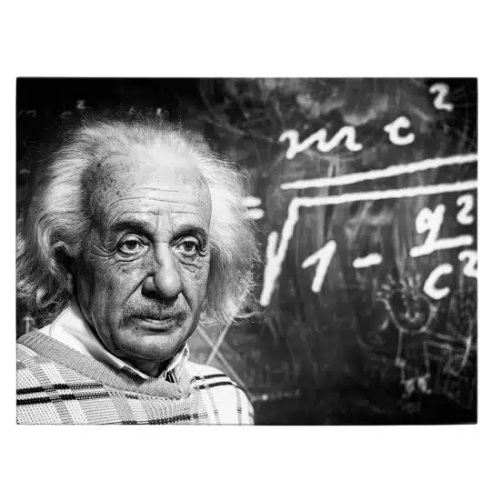 Tablou Albert Einstein figura de ceara Madame Tussauds 1883 front - Afis Poster Tablou Albert Einstein figura de ceara Madame Tussauds pentru living casa birou bucatarie livrare in 24 ore la cel mai bun pret.