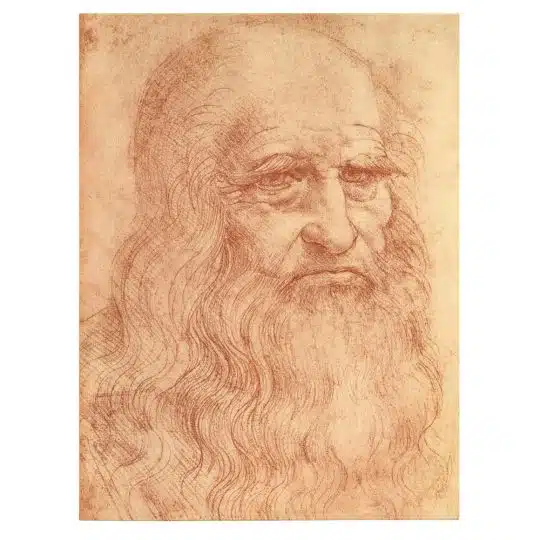 Tablou Autoportret de Leonardo da Vinci 2023 front - Afis Poster Tablou Autoportret de Leonardo da Vinci pentru living casa birou bucatarie livrare in 24 ore la cel mai bun pret.