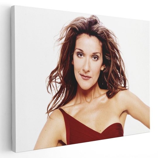 Tablou Celine Dion cantareata 2265 - Afis Poster Tablou Celine Dion cantareata pentru living casa birou bucatarie livrare in 24 ore la cel mai bun pret.