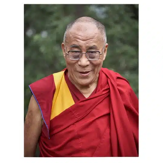 Tablou Dalai Lama lider spiritual tibetan rosu 1698 front - Afis Poster Tablou Dalai Lama pentru living casa birou bucatarie livrare in 24 ore la cel mai bun pret.