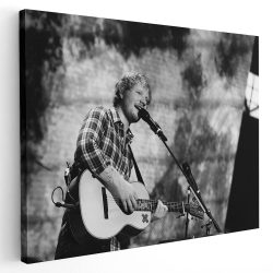 Tablou Ed Sheeran cantaret 2284 - Afis Poster Tablou Ed Sheeran cantaret pentru living casa birou bucatarie livrare in 24 ore la cel mai bun pret.
