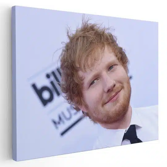 Tablou Ed Sheeran cantaret 2285 - Afis Poster Tablou Ed Sheeran cantaret pentru living casa birou bucatarie livrare in 24 ore la cel mai bun pret.