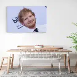 Tablou Ed Sheeran cantaret 2285 bucatarie3 - Afis Poster Tablou Ed Sheeran cantaret pentru living casa birou bucatarie livrare in 24 ore la cel mai bun pret.