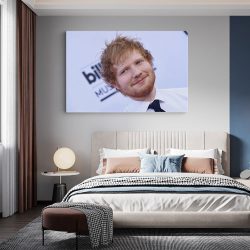 Tablou Ed Sheeran cantaret 2285 dormitor - Afis Poster Tablou Ed Sheeran cantaret pentru living casa birou bucatarie livrare in 24 ore la cel mai bun pret.