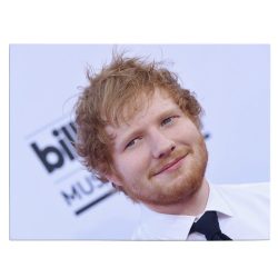 Tablou Ed Sheeran cantaret 2285 front - Afis Poster Tablou Ed Sheeran cantaret pentru living casa birou bucatarie livrare in 24 ore la cel mai bun pret.