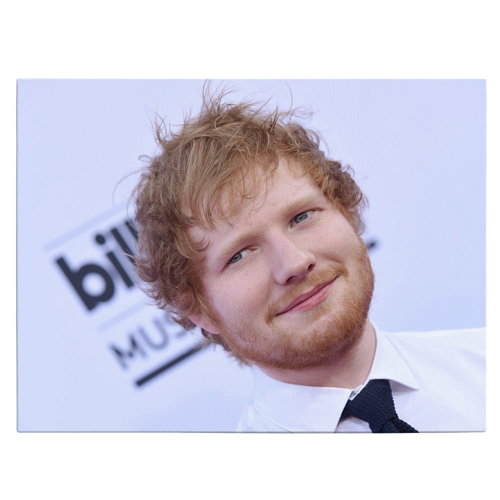 Tablou afis Ed Sheeran cantaret 2285 - Material produs:: Poster pe hartie FARA RAMA, Dimensiunea:: 80x120 cm