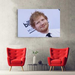 Tablou Ed Sheeran cantaret 2285 hol - Afis Poster Tablou Ed Sheeran cantaret pentru living casa birou bucatarie livrare in 24 ore la cel mai bun pret.