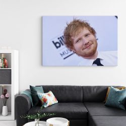 Tablou Ed Sheeran cantaret 2285 living - Afis Poster Tablou Ed Sheeran cantaret pentru living casa birou bucatarie livrare in 24 ore la cel mai bun pret.