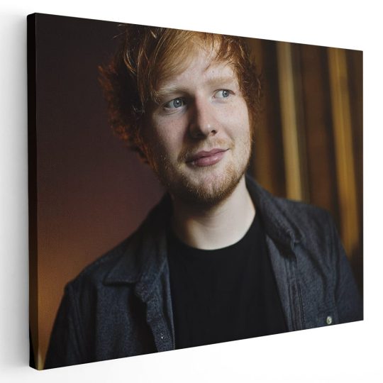 Tablou Ed Sheeran cantaret 2286 - Afis Poster Tablou Ed Sheeran cantaret pentru living casa birou bucatarie livrare in 24 ore la cel mai bun pret.