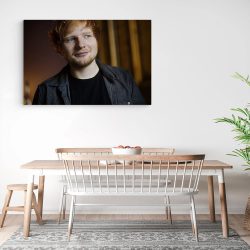 Tablou Ed Sheeran cantaret 2286 bucatarie3 - Afis Poster Tablou Ed Sheeran cantaret pentru living casa birou bucatarie livrare in 24 ore la cel mai bun pret.