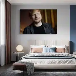 Tablou Ed Sheeran cantaret 2286 dormitor - Afis Poster Tablou Ed Sheeran cantaret pentru living casa birou bucatarie livrare in 24 ore la cel mai bun pret.