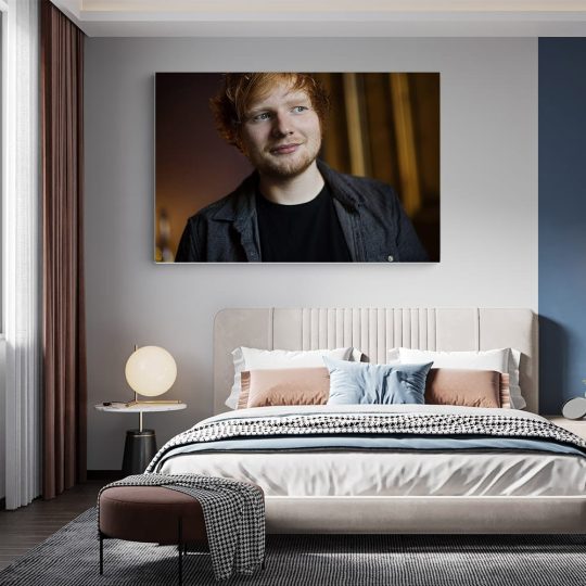 Tablou Ed Sheeran cantaret 2286 dormitor - Afis Poster Tablou Ed Sheeran cantaret pentru living casa birou bucatarie livrare in 24 ore la cel mai bun pret.