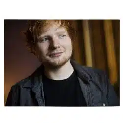 Tablou Ed Sheeran cantaret 2286 front - Afis Poster Tablou Ed Sheeran cantaret pentru living casa birou bucatarie livrare in 24 ore la cel mai bun pret.