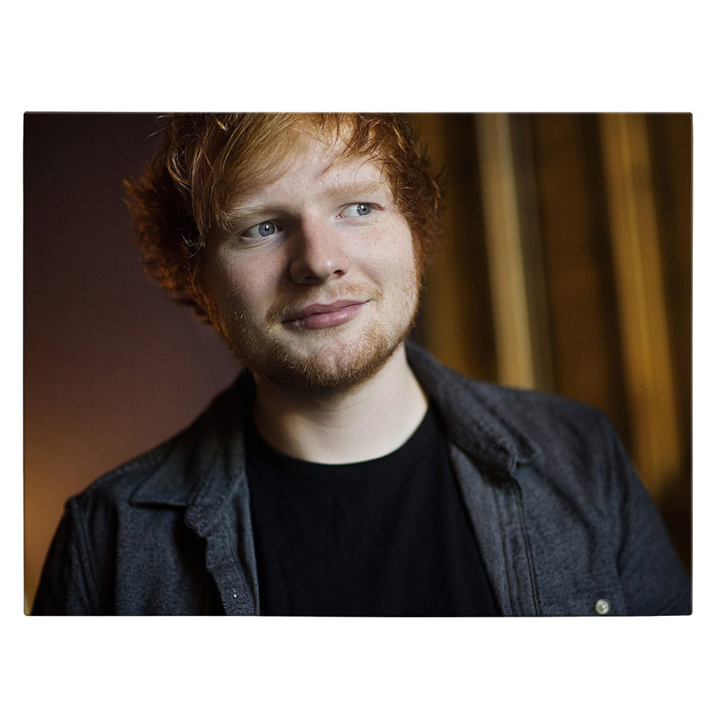 Tablou afis Ed Sheeran cantaret 2286 - Material produs:: Poster pe hartie FARA RAMA, Dimensiunea:: 80x120 cm