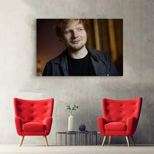 Tablou Ed Sheeran cantaret 2286 hol - Afis Poster Tablou Ed Sheeran cantaret pentru living casa birou bucatarie livrare in 24 ore la cel mai bun pret.