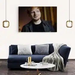 Tablou Ed Sheeran cantaret 2286 living modern 2 - Afis Poster Tablou Ed Sheeran cantaret pentru living casa birou bucatarie livrare in 24 ore la cel mai bun pret.