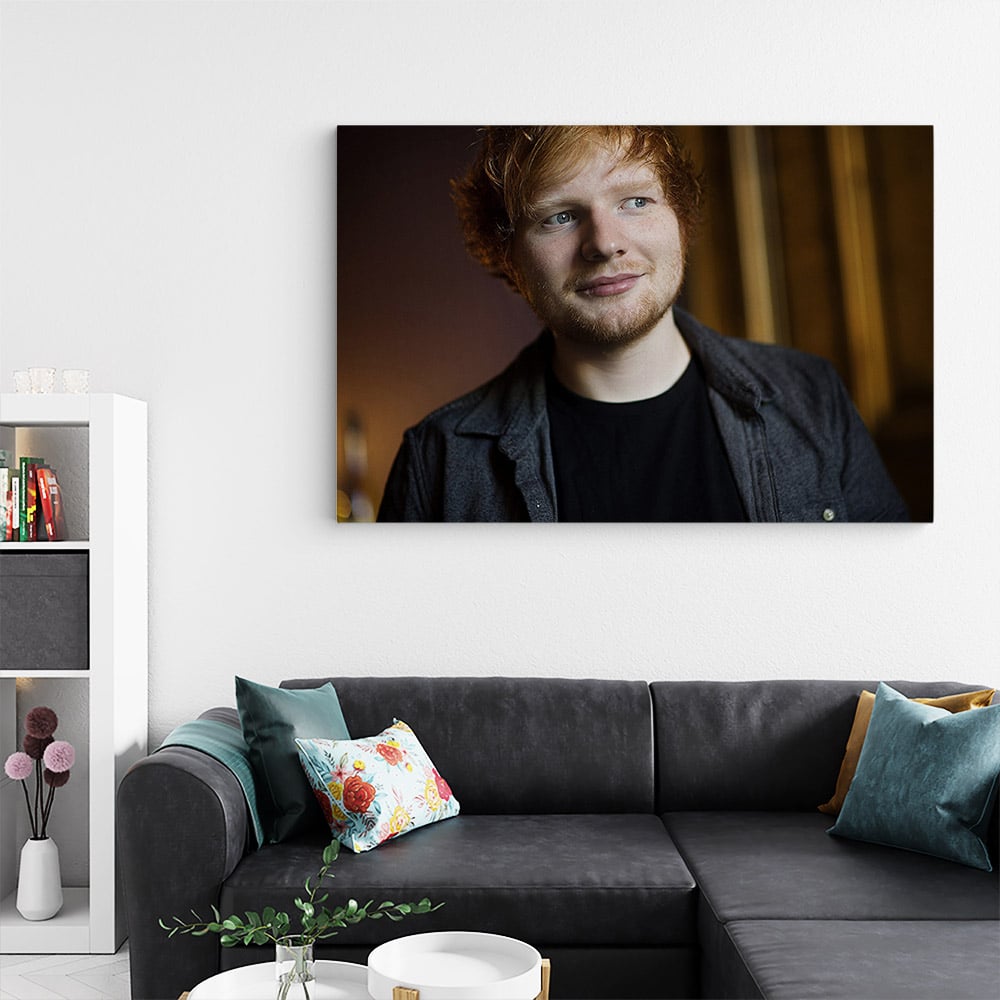 Tablou Ed Sheeran cantaret 2286 living - Afis Poster Tablou Ed Sheeran cantaret pentru living casa birou bucatarie livrare in 24 ore la cel mai bun pret.