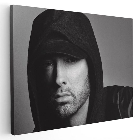 Tablou Eminem cantaret 2280 - Afis Poster Tablou Eminem cantaret pentru living casa birou bucatarie livrare in 24 ore la cel mai bun pret.