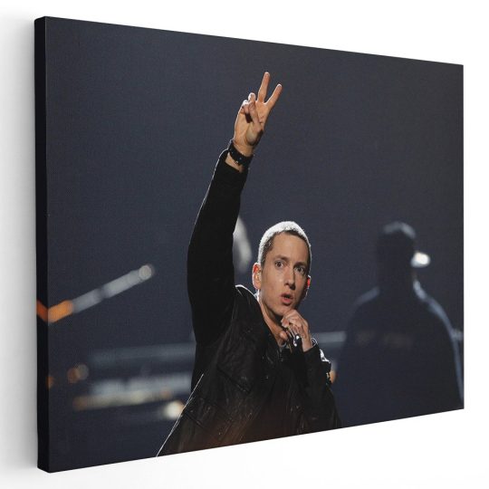 Tablou Eminem cantaret 2282 - Afis Poster Tablou Eminem cantaret pentru living casa birou bucatarie livrare in 24 ore la cel mai bun pret.