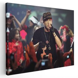 Tablou Eminem cantaret 2283 - Afis Poster Tablou Eminem cantaret pentru living casa birou bucatarie livrare in 24 ore la cel mai bun pret.