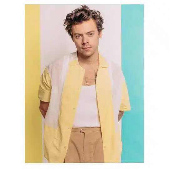 Tablou Harry Styles cantaret 2086 front - Afis Poster Tablou Harry Styles cantaret pentru living casa birou bucatarie livrare in 24 ore la cel mai bun pret.