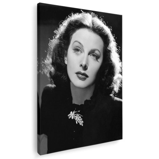 Tablou Hedy Lamarr actrita alb negru 1942 - Afis Poster Tablou Hedy Lamarr actrita pentru living casa birou bucatarie livrare in 24 ore la cel mai bun pret.