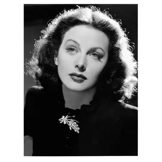 Tablou Hedy Lamarr actrita alb negru 1942 front - Afis Poster Tablou Hedy Lamarr actrita pentru living casa birou bucatarie livrare in 24 ore la cel mai bun pret.