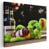 Tablou Kermit Broscoiul cu sticle vin 4064