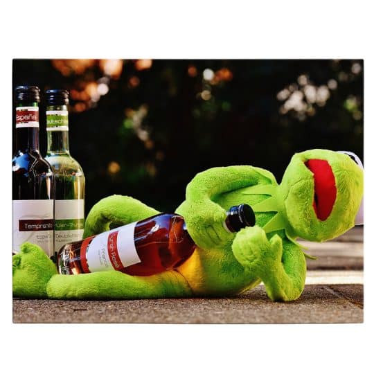 Tablou Kermit Broscoiul cu sticle vin 4064 front