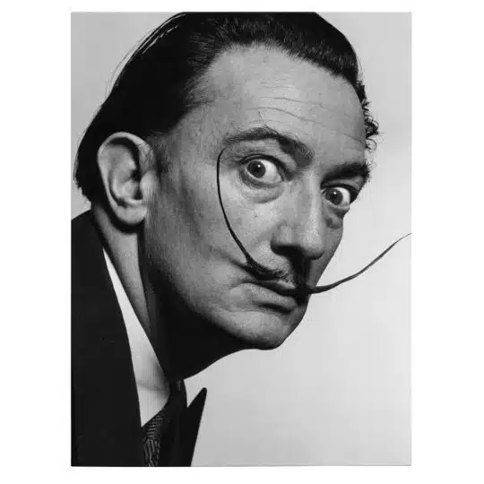 Tablou Salvador Dali pictor alb negru 2107 front - Afis Poster Tablou Salvador Dali pictor pentru living casa birou bucatarie livrare in 24 ore la cel mai bun pret.