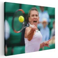 Tablou Simona Halep jucatoare de tenis verde alb 1878 - Afis Poster Tablou Simona Halep jucatoare de tenis verde alb pentru living casa birou bucatarie livrare in 24 ore la cel mai bun pret.