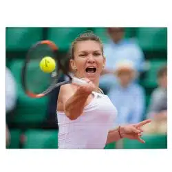 Tablou Simona Halep jucatoare de tenis verde alb 1878 front - Afis Poster Tablou Simona Halep jucatoare de tenis verde alb pentru living casa birou bucatarie livrare in 24 ore la cel mai bun pret.