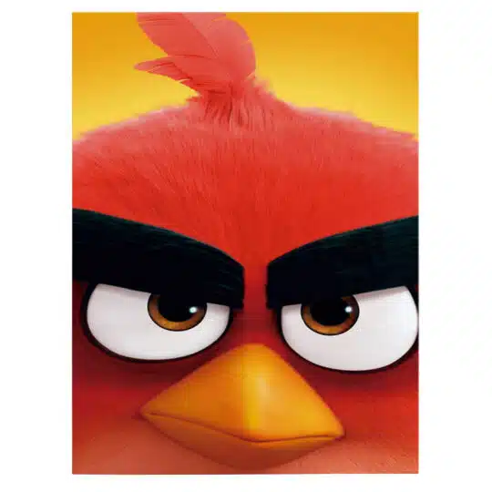 Tablou afis Angry Birds 2 desene animate 4810 front