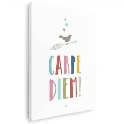 Tablou afis Carpe Diem 4406