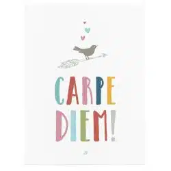 Tablou afis Carpe Diem 4406 front