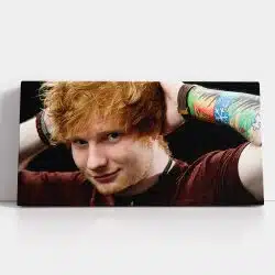 Tablou afis Ed Sheeran cantaret 2404 detalii tablou - Afis Poster Tablou afis Ed Sheeran cantaret pentru living casa birou bucatarie livrare in 24 ore la cel mai bun pret.