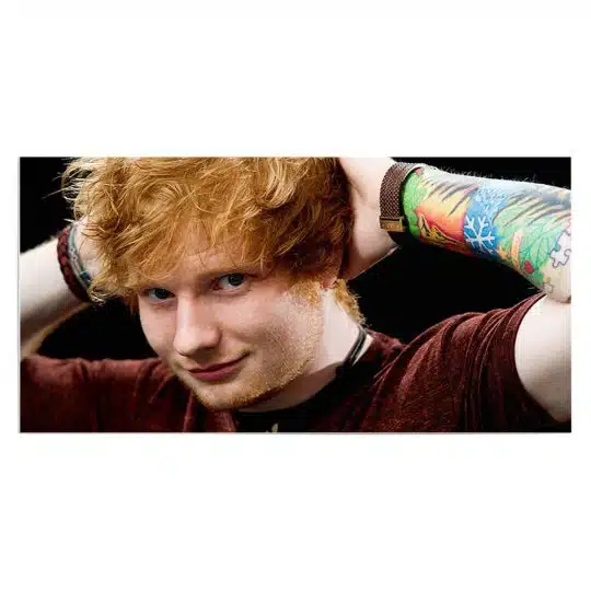 Tablou afis Ed Sheeran cantaret 2404 front - Afis Poster Tablou afis Ed Sheeran cantaret pentru living casa birou bucatarie livrare in 24 ore la cel mai bun pret.