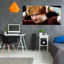 Tablou afis Ed Sheeran cantaret 2404 tablou camera tineret - Afis Poster Tablou afis Ed Sheeran cantaret pentru living casa birou bucatarie livrare in 24 ore la cel mai bun pret.