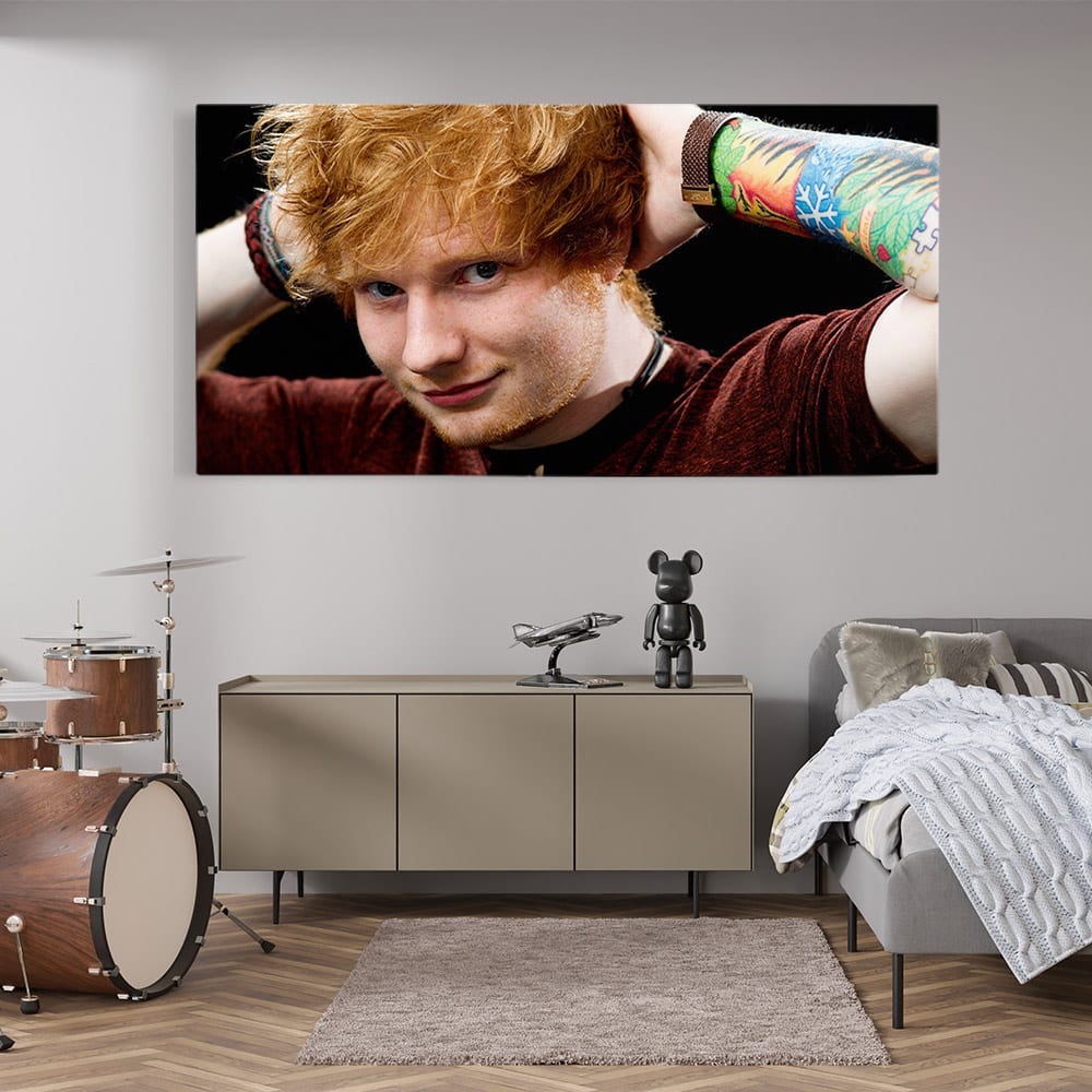 Tablou afis Ed Sheeran cantaret 2404 tablou modern copil - Afis Poster Tablou afis Ed Sheeran cantaret pentru living casa birou bucatarie livrare in 24 ore la cel mai bun pret.