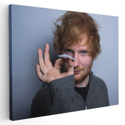 Tablou afis Ed Sheeran cantaret 2407 - Afis Poster Tablou afis Ed Sheeran cantaret pentru living casa birou bucatarie livrare in 24 ore la cel mai bun pret.