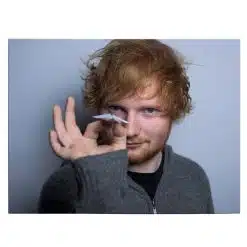 Tablou afis Ed Sheeran cantaret 2407 front - Afis Poster Tablou afis Ed Sheeran cantaret pentru living casa birou bucatarie livrare in 24 ore la cel mai bun pret.