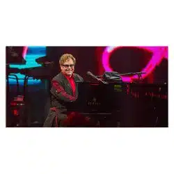 Tablou afis Elton John cantaret 2393 front - Afis Poster Tablou afis Elton John cantaret pentru living casa birou bucatarie livrare in 24 ore la cel mai bun pret.