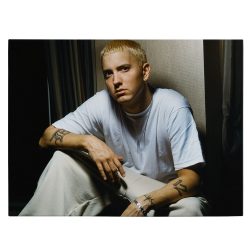 Tablou afis Eminem cantaret 2409 front - Afis Poster Tablou afis Eminem cantaret pentru living casa birou bucatarie livrare in 24 ore la cel mai bun pret.