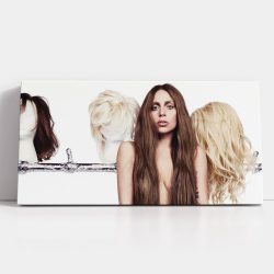 Tablou afis Lady Gaga cantareata 2347 detalii tablou - Afis Poster Tablou afis Lady Gaga cantareata pentru living casa birou bucatarie livrare in 24 ore la cel mai bun pret.