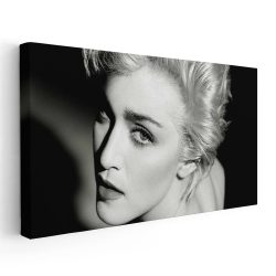 Tablou afis Madonna cantareata 2380 - Afis Poster Tablou afis Madonna cantareata pentru living casa birou bucatarie livrare in 24 ore la cel mai bun pret.