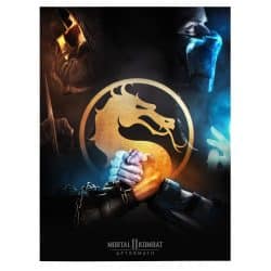 Tablou afis Mortal Kombat 3644 front
